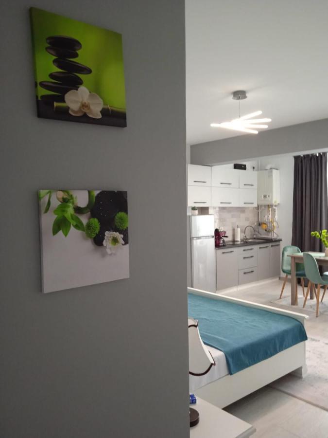 Studio Timeea Mamaia-Nord Неводарі Екстер'єр фото